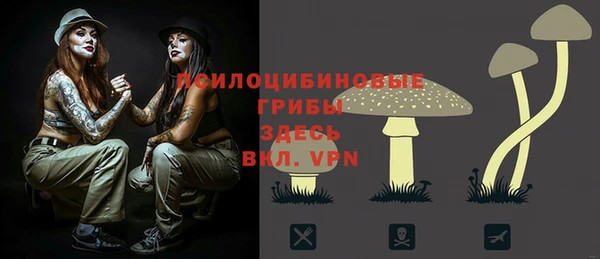 герыч Майский