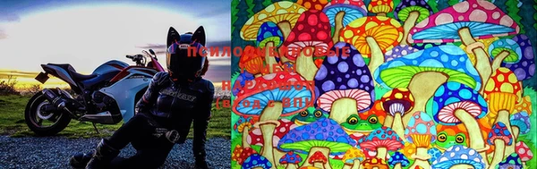 MDMA Магадан