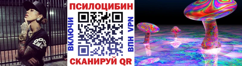 Купить  Суджа  Галлюциногенные грибы Psilocybe 